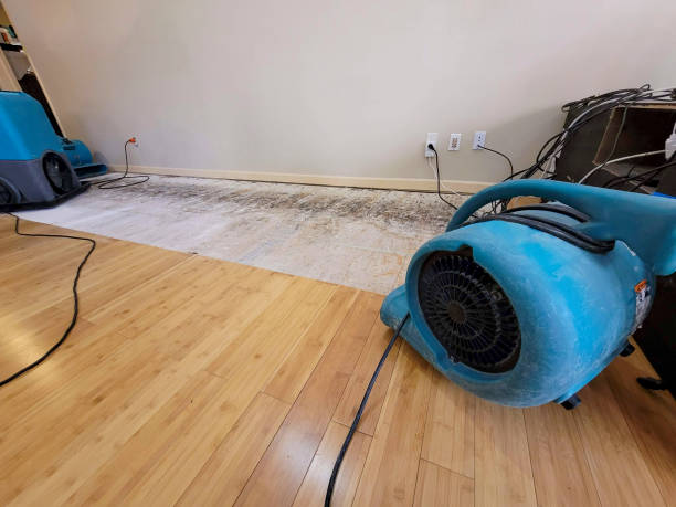 Professional Water Removal technician working in Berkeley, IL